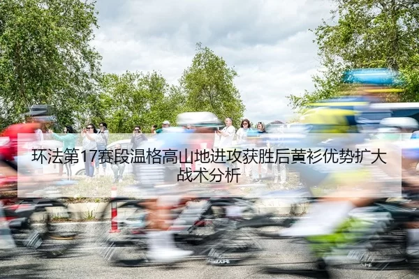 huan-fa-di-sai-duan-wen-ge-gao-shan-di-jin-gong-huo-sheng-hou-huang-shan-you-shi-kuo-da-zhan-shu-fen-xi-3-837.jpg